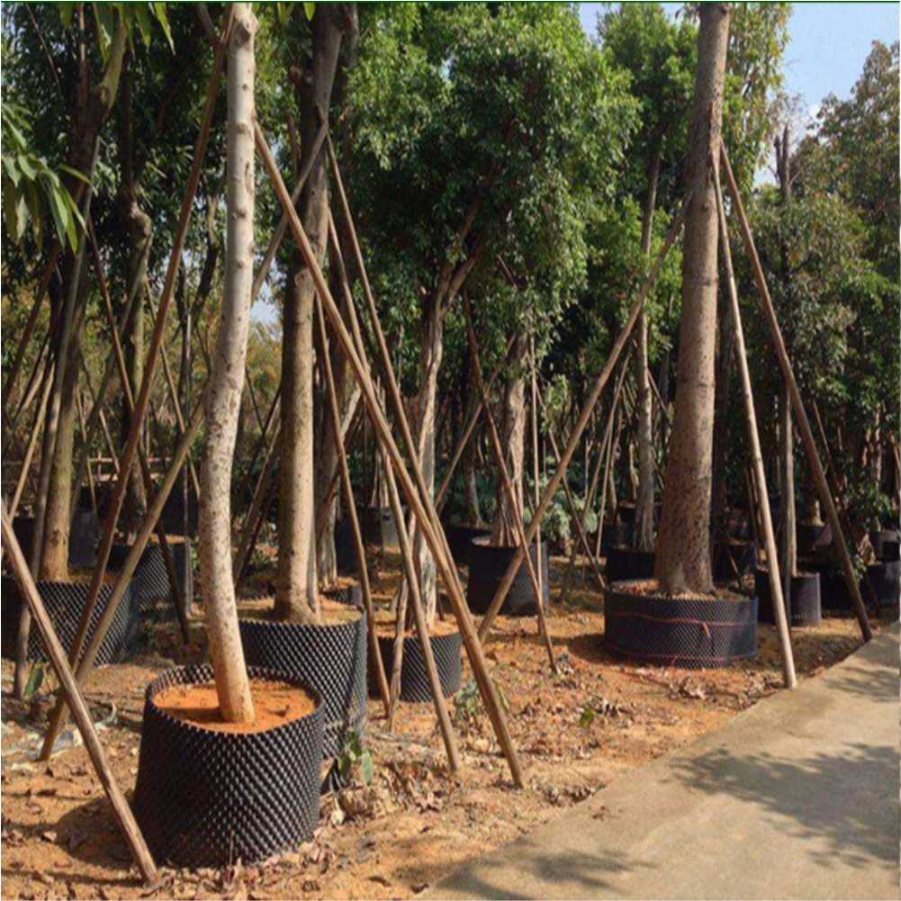 Grow Container Garden Tree Bon - Garden Tools review and price